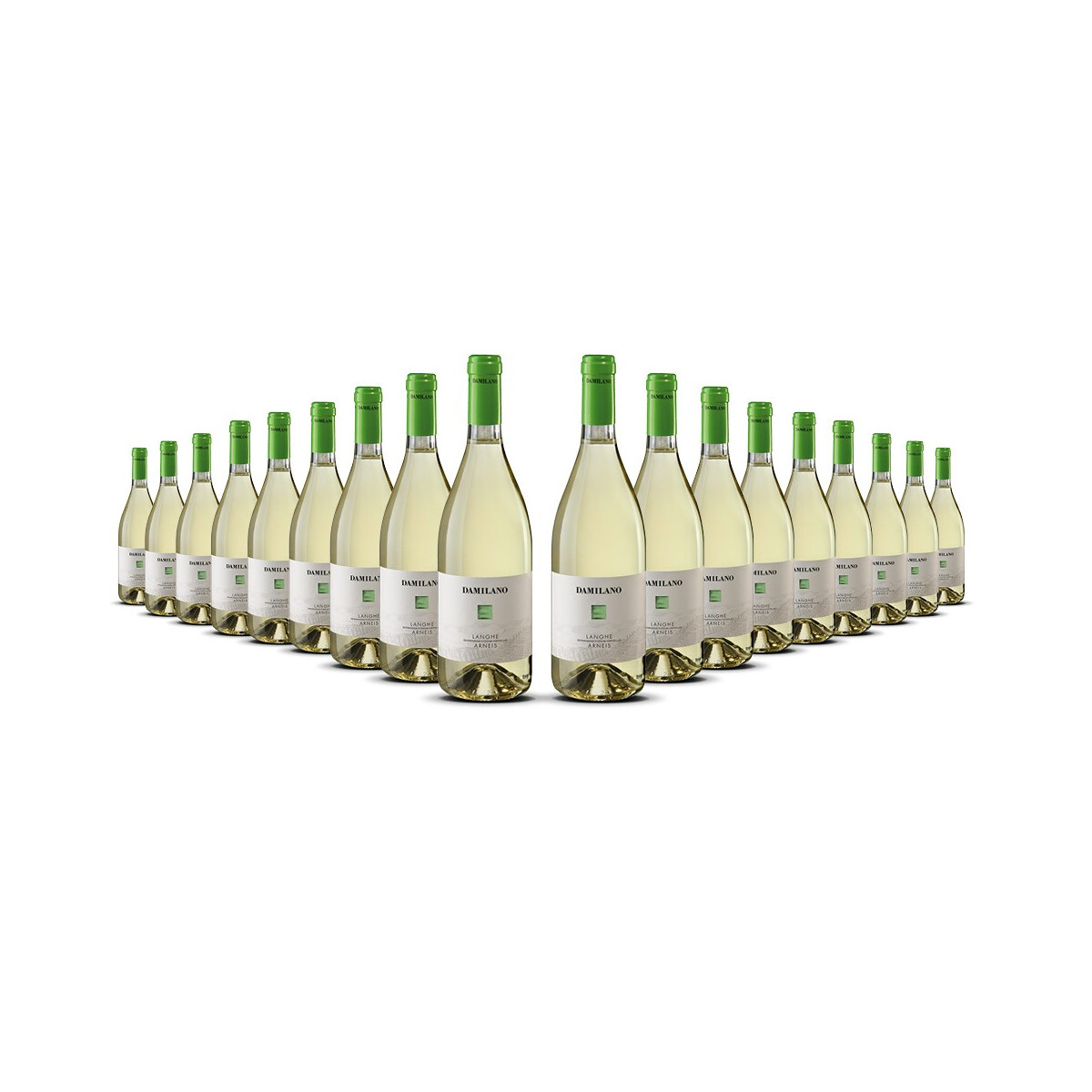 Damilano Langhe Arneis Bianco 2024er Piemont (18 x 0,75l)