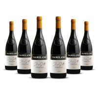 Damilano Barbera dAsti 2023er Piemont (6 x 0,75l)