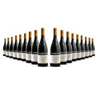 Damilano Barbera dAsti 2023er Piemont (18 x 0,75l)