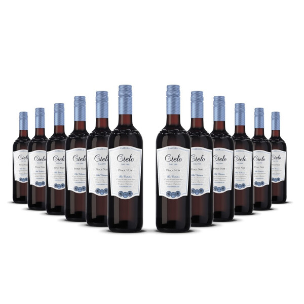 Cielo Pinot Noir 2022er Veneto (12 x 0,75l)