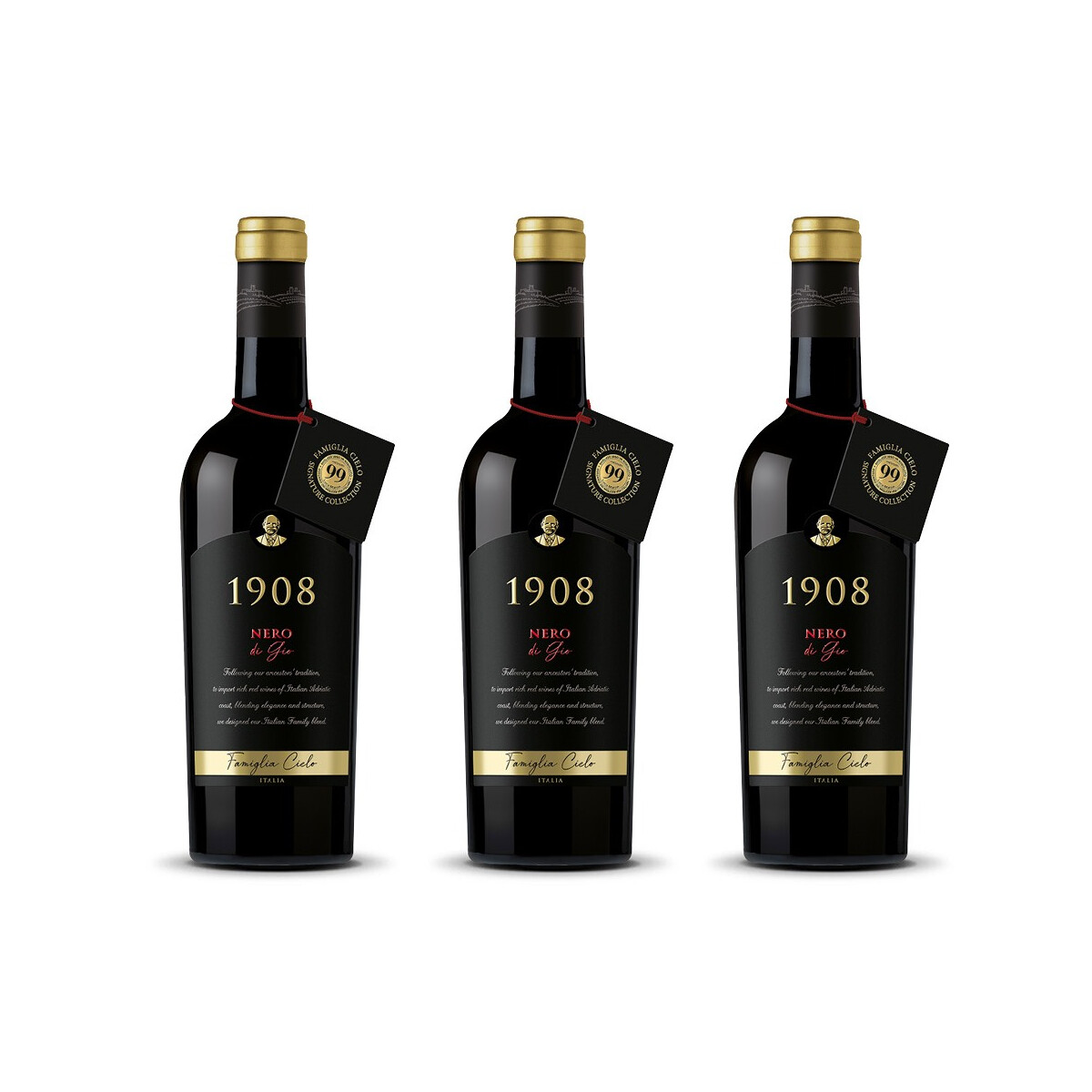 Cielo 1908 Nero di Gio 2021er Apulien (3 x 0,75l)