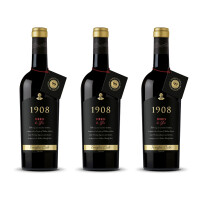 Cielo 1908 Nero di Gio 2021er Apulien (3 x 0,75l)