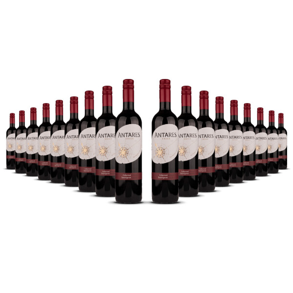 Antares Cabernet Sauvignon 2023er Central Valley (18 x 0,75l)