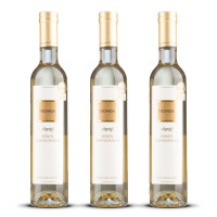 Weingut Tschida Eiswein Gelber Muskateller 0.375l 2023er Burgenland (3 x 0,375l)