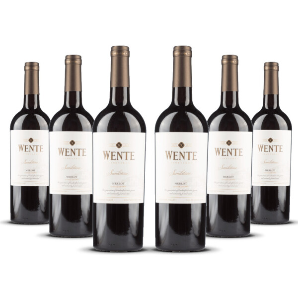 Wente Sandstone Merlot 2022er Kalifornien (6 x 0,75l)