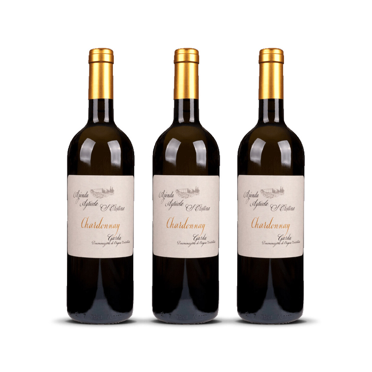 Zenato Santa Cristina Chardonnay 2024er Veneto (3 x 0,75l)
