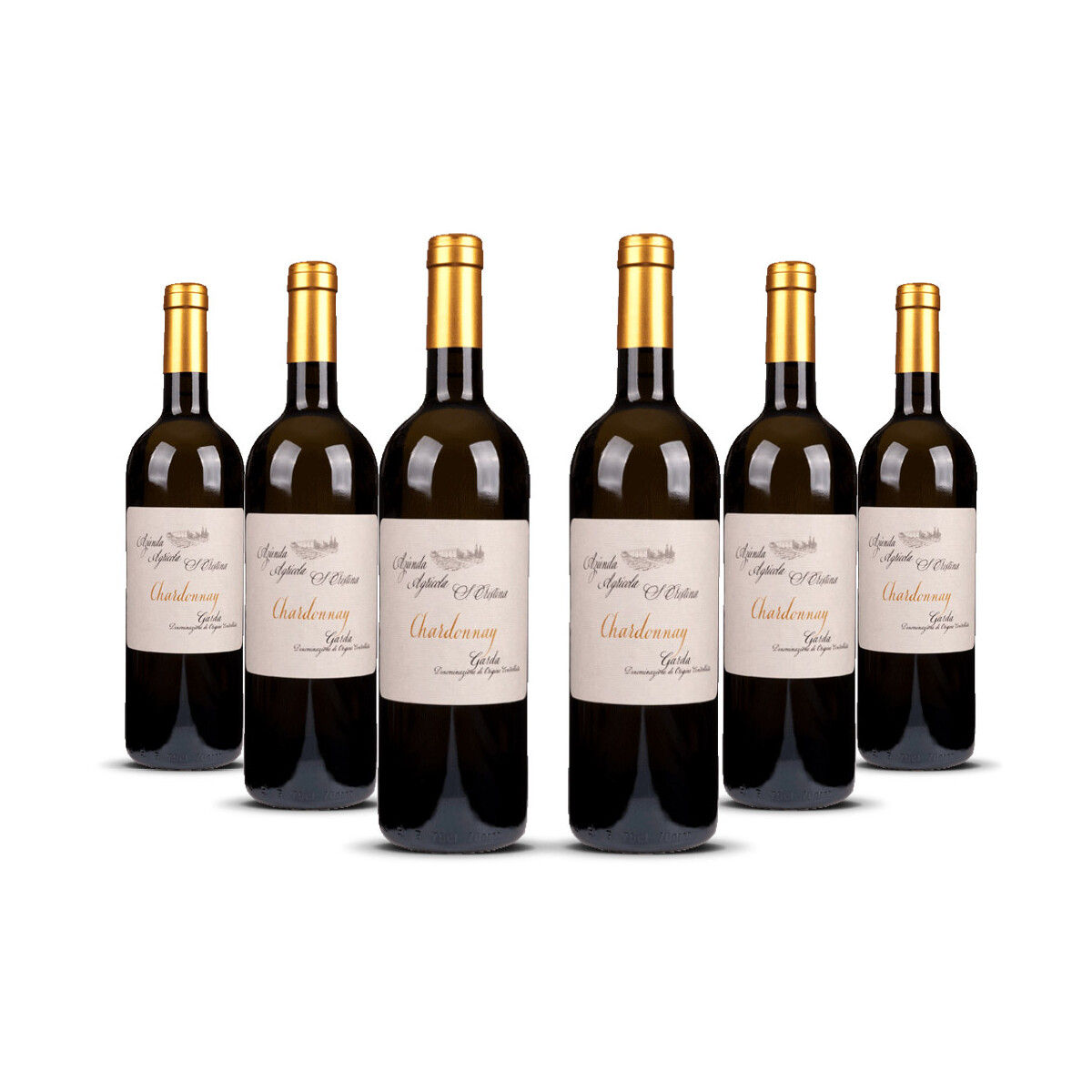 Zenato Santa Cristina Chardonnay 2024er Veneto (6 x 0,75l)