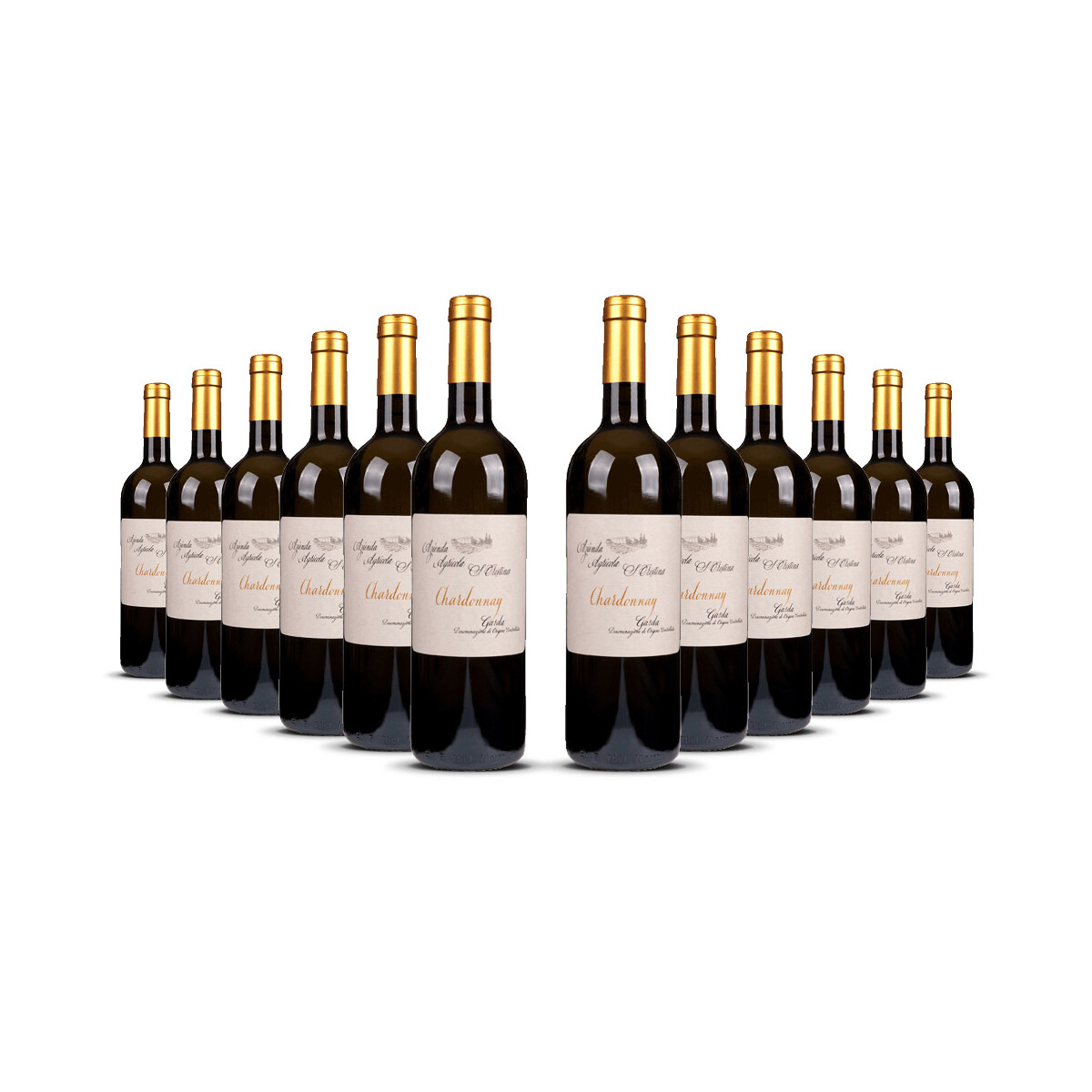 Zenato Santa Cristina Chardonnay 2024er Veneto (12 x 0,75l)