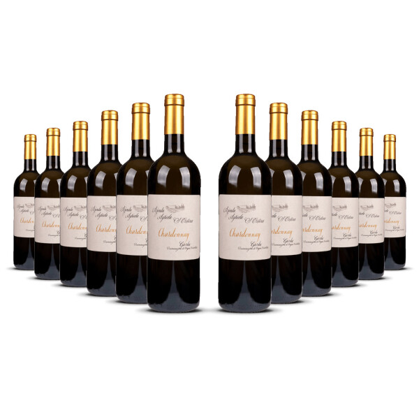 Zenato Santa Cristina Chardonnay 2024er Veneto (12 x 0,75l)