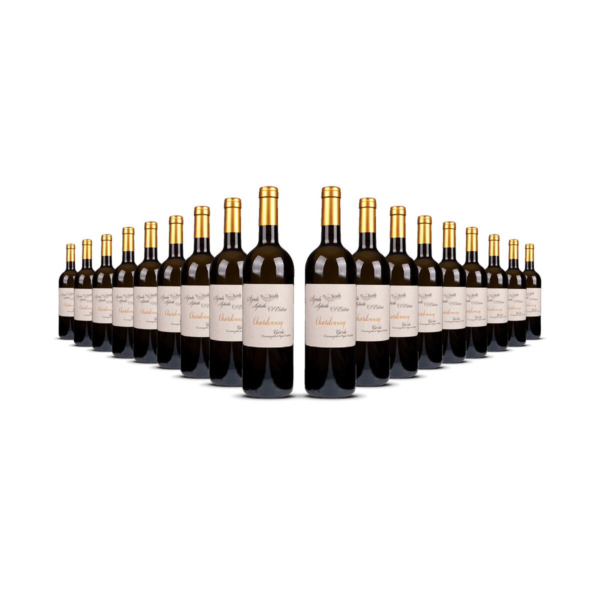 Zenato Santa Cristina Chardonnay 2024er Veneto (18 x 0,75l)