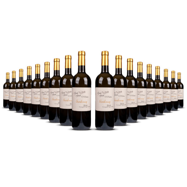 Zenato Santa Cristina Chardonnay 2024er Veneto (18 x 0,75l)