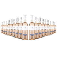 Cielo Pinot Grigio Rosé Blush 2024er Veneto (18 x 0,75l)