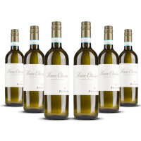 Zenato Soave Classico 2024er Veneto (6 x 0,75l)
