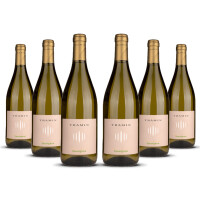 Tramin Sauvignon Blanc Alto Adige 2024er Trentino-Alto Adige (6 x 0,75l)