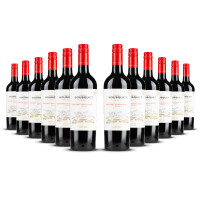 Domaine Bousquet Cabernet Sauvignon (bio) 2024er Uco Valley (12 x 0,75l)