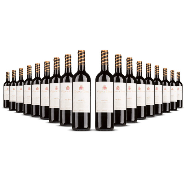 Pago de Cirsus Oak Aged Navarra 2023er Navarra (18 x 0,75l)