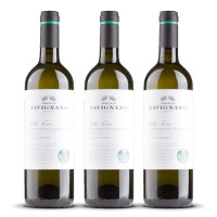 Tavignano Verdicchio Classico Superiore (bio) 2024er Marken (3 x 0,75l)
