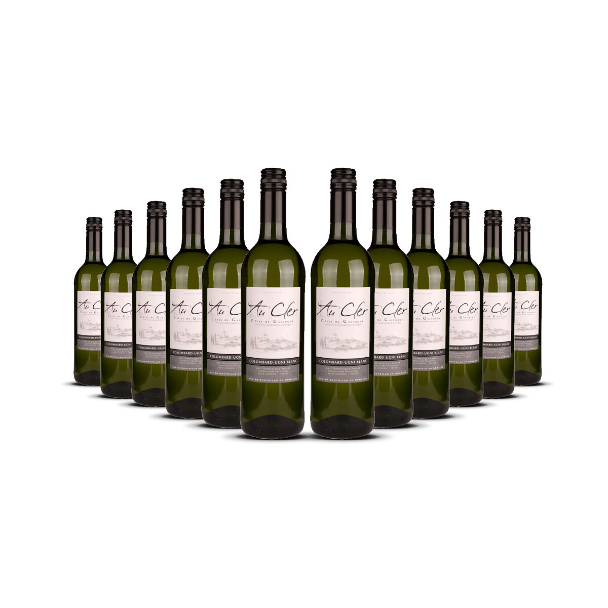 Gascogne Vignes au Cler 2024er Südwest-Frankreich...