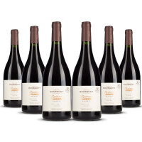 Domaine Bousquet Pinot Noir Reserve (bio) 2024er Uco Valley (6 x 0,75l)