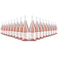 Ambroisie Cabernet dAnjou 2024er Loire (18 x 0,75l)