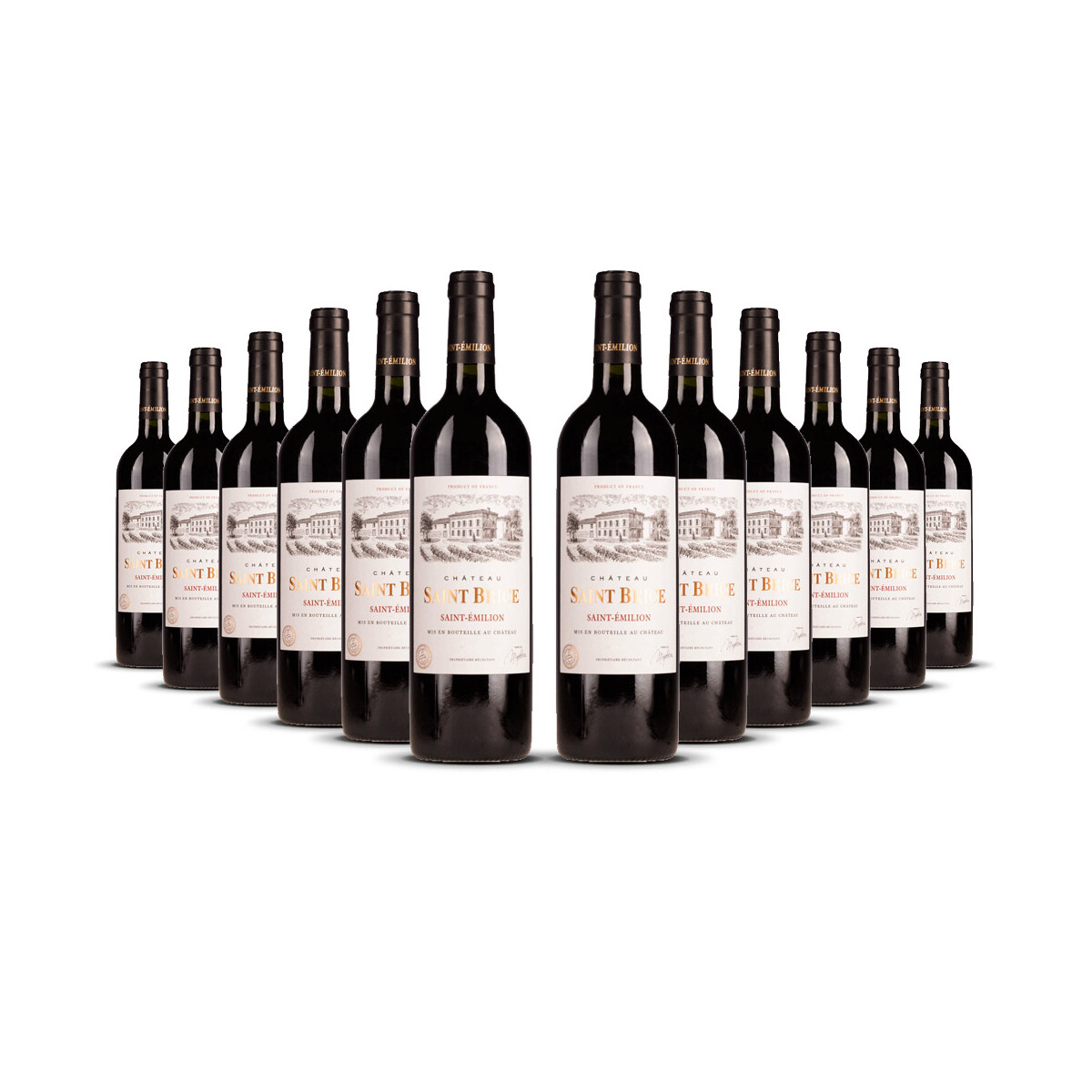 Château Saint Brice Saint Emilion 2020er Bordeaux...