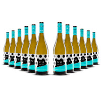 Paco & Lola No12 Albarino Rias Baixas 2024er Rias Baixas (12 x 0,75l)