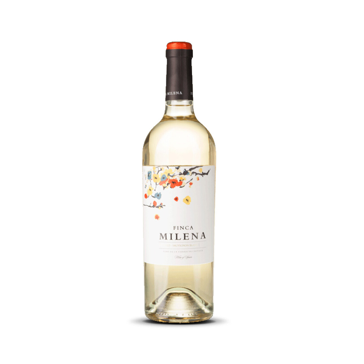 Finca Milena Verdejo / Sauvignon Castilla (bio) 2024er...