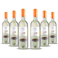 Cielo Trebbiano / Pinot Grigio 2024er Apulien (6 x 0,75l)