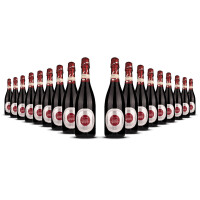 Cascina Fonda Brachetto Spumante 2024er  (18 x 0,75l)