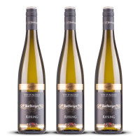 Wolfberger Riesling Signature 2023er Elsass (3 x 0,75l)