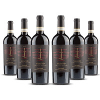 Vesevo Taurasi DOCG 2016er Kampanien (6 x 0,75l)
