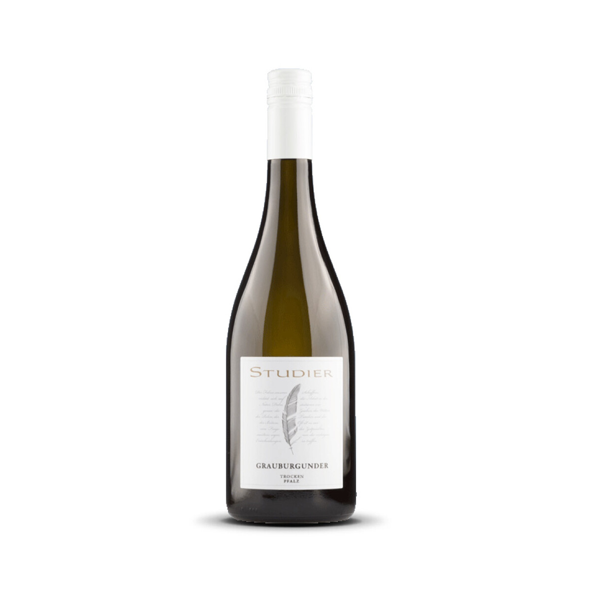 Studier Grauburgunder (bio) 2024er Pfalz (1 x 0,75l)