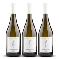 Studier Grauburgunder (bio) 2024er Pfalz (3 x 0,75l)