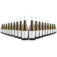 Studier Grauburgunder (bio) 2024er Pfalz (18 x 0,75l)