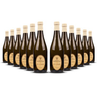 El Calie Mosto dUva Frizzante ( 3% ) 2024er Piemont (12 x 0,75l)