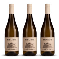 St. Michael Eppan Alto Adige Pinot Grigio 2024er Trentino-Alto Adige (3 x 0,75l)