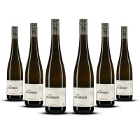 Weingut Eichinger Kamptal Grüner Veltliner Wechselberg 2024er Kamptal (6 x 0,75l)