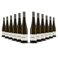 Weingut Eichinger Kamptal Grüner Veltliner Wechselberg 2024er Kamptal (12 x 0,75l)