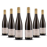Tramin Gewurztraminer Alto Adige 2024er Trentino-Alto Adige (6 x 0,75l)