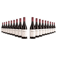Wente Baily Hill Pinot Noir 2022er  (18 x 0,75l)