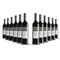 Casa Ermelinda Tinto 2024er Regional Península de Setúbal (12 x 0,75l)