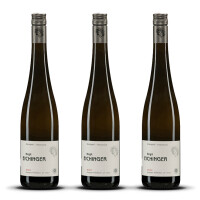 Weingut Eichinger Kamptal Grüner Veltliner Strass 2024er Kamptal (3 x 0,75l)