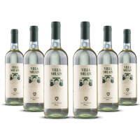 Santadi Villa Solais Vermentino 2024er Sardinien (6 x 0,75l)