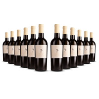 Cielo Tre Passo Bio Bianco 2024er Veneto (12 x 0,75l)