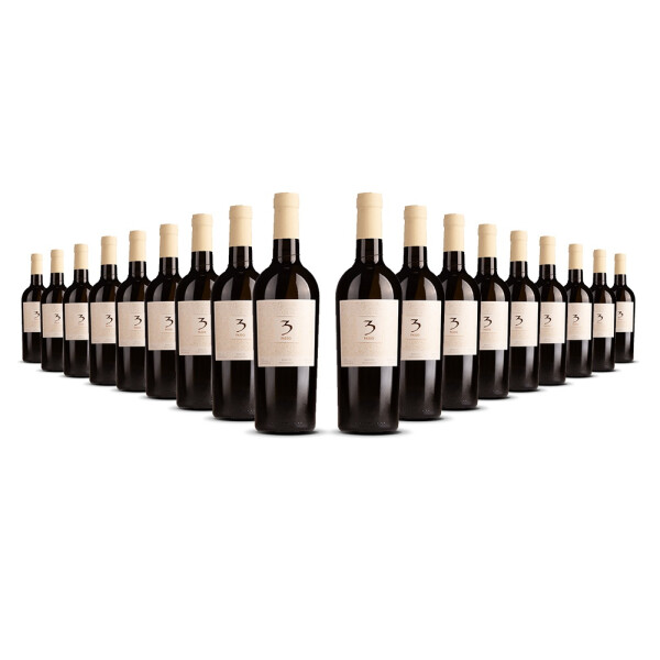 Cielo Tre Passo Bio Bianco 2024er Veneto (18 x 0,75l)