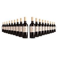 Cielo Tre Passo Bio Bianco 2024er Veneto (18 x 0,75l)