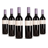 Stellenrust Stell Pinotage / Shiraz 2022er Stellenbosch (6 x 0,75l)