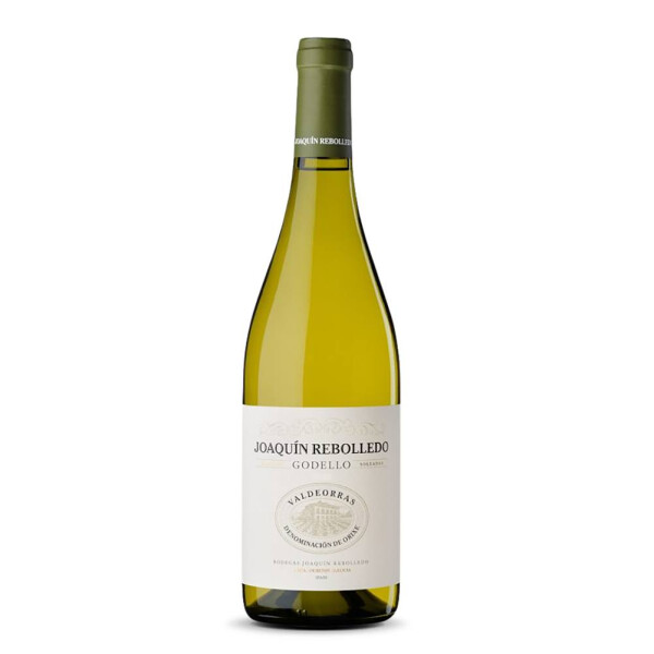 Joaquin Rebolledo Godello Valdeorras 2024er  (1 x 0,75l)