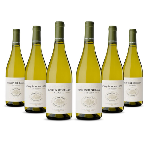 Joaquin Rebolledo Godello Valdeorras 2024er  (6 x 0,75l)