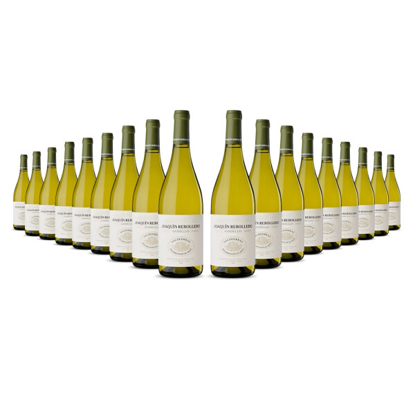 Joaquin Rebolledo Godello Valdeorras 2024er  (18 x 0,75l)